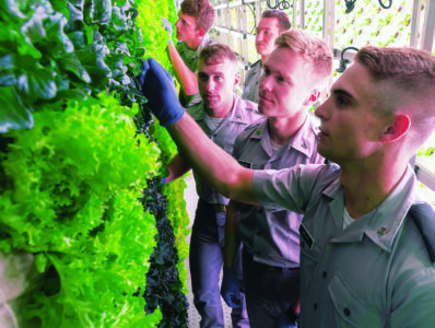 Cadets Create Indoor Farm Inside Shipping Containers Image